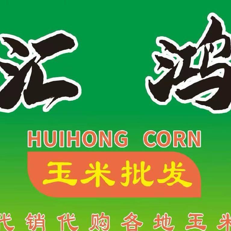 佛山汇鸿玉米
