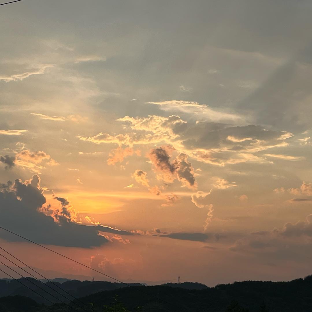 .s……
