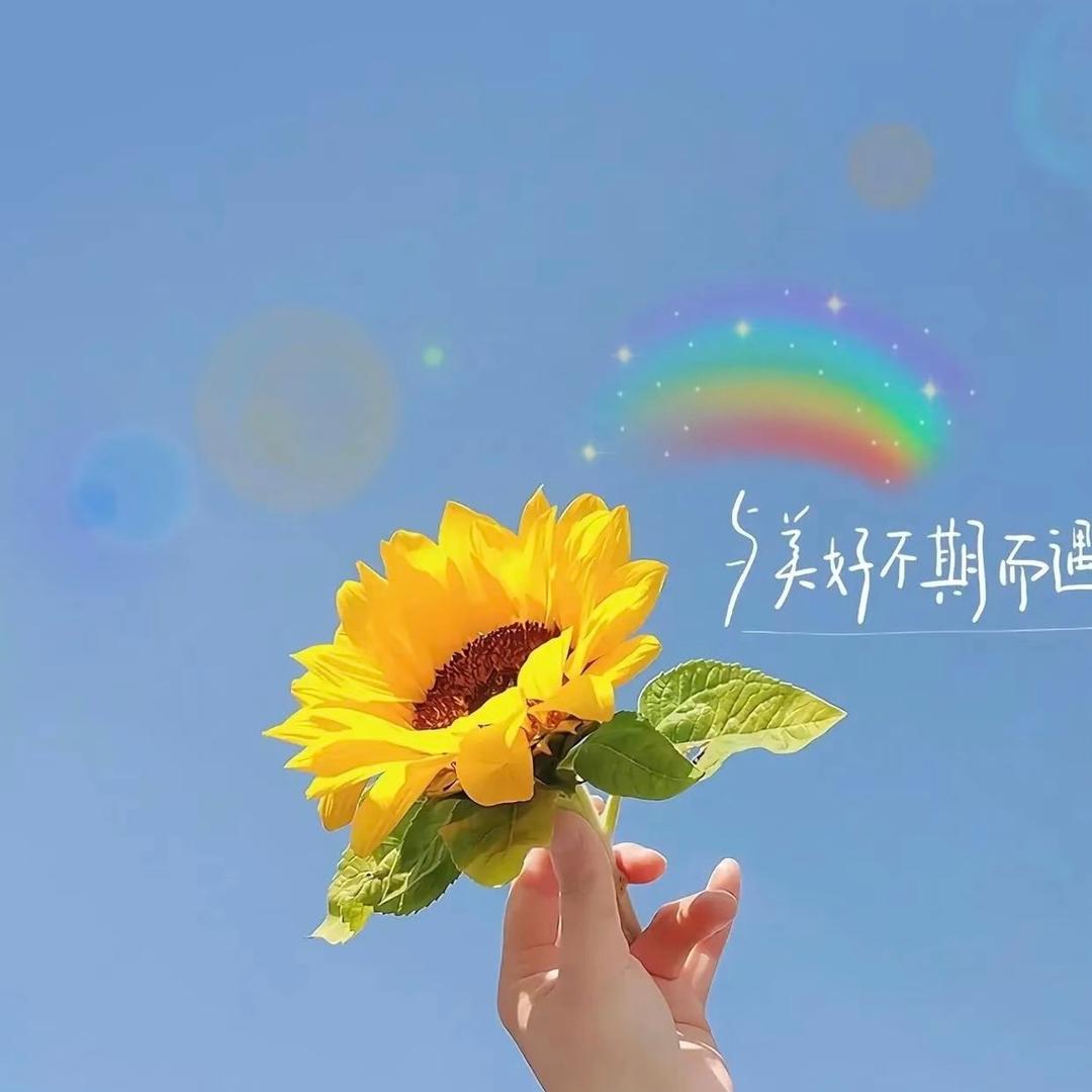 听风告别.