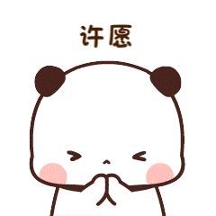 煤球蛋蛋⚫️