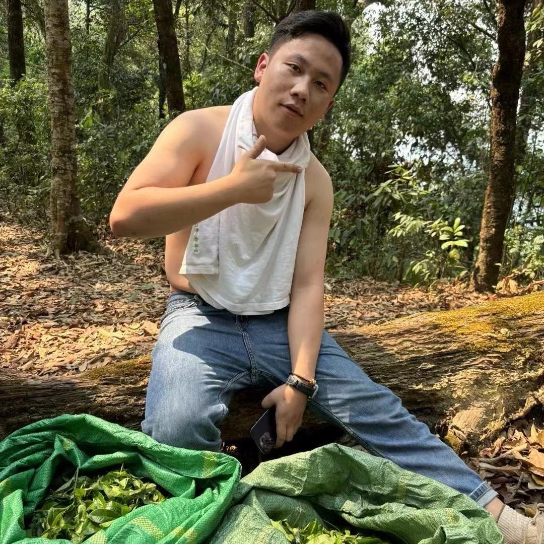 小刚家的茶