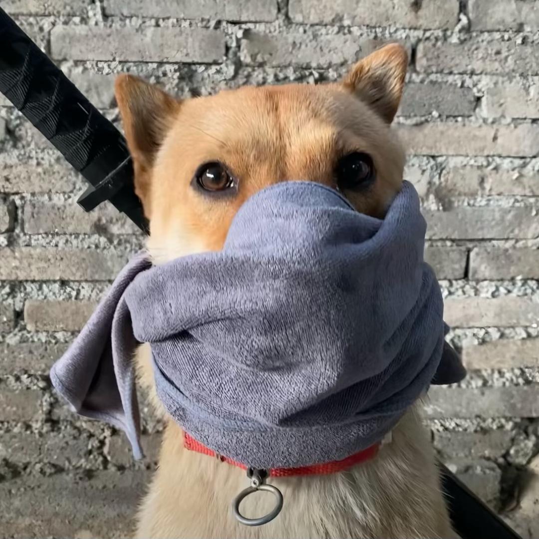雲深起