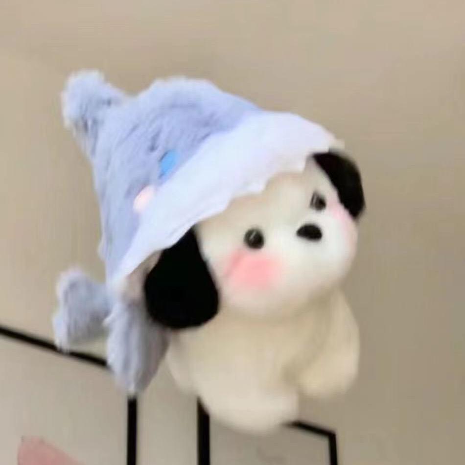 ʕ •ᴥ•ʔ