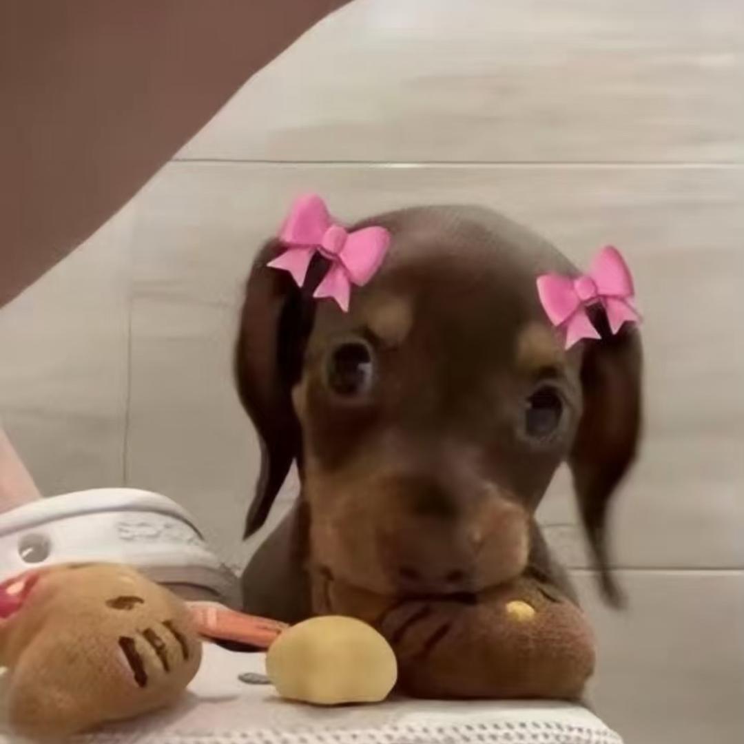 快乐小赵
