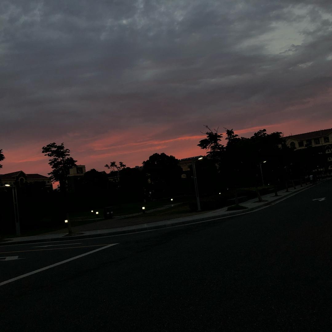 哈基瓜（三角洲行动）