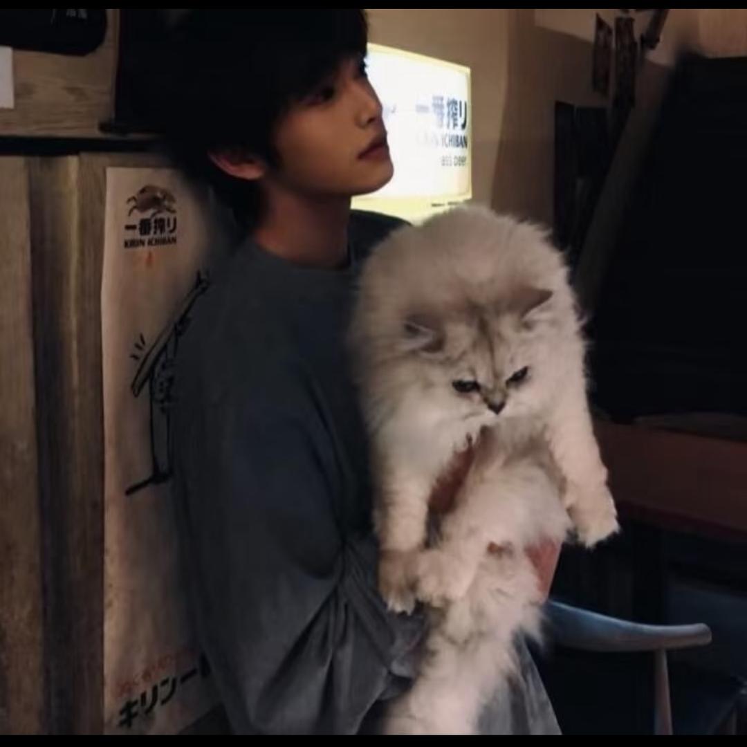 秋的白