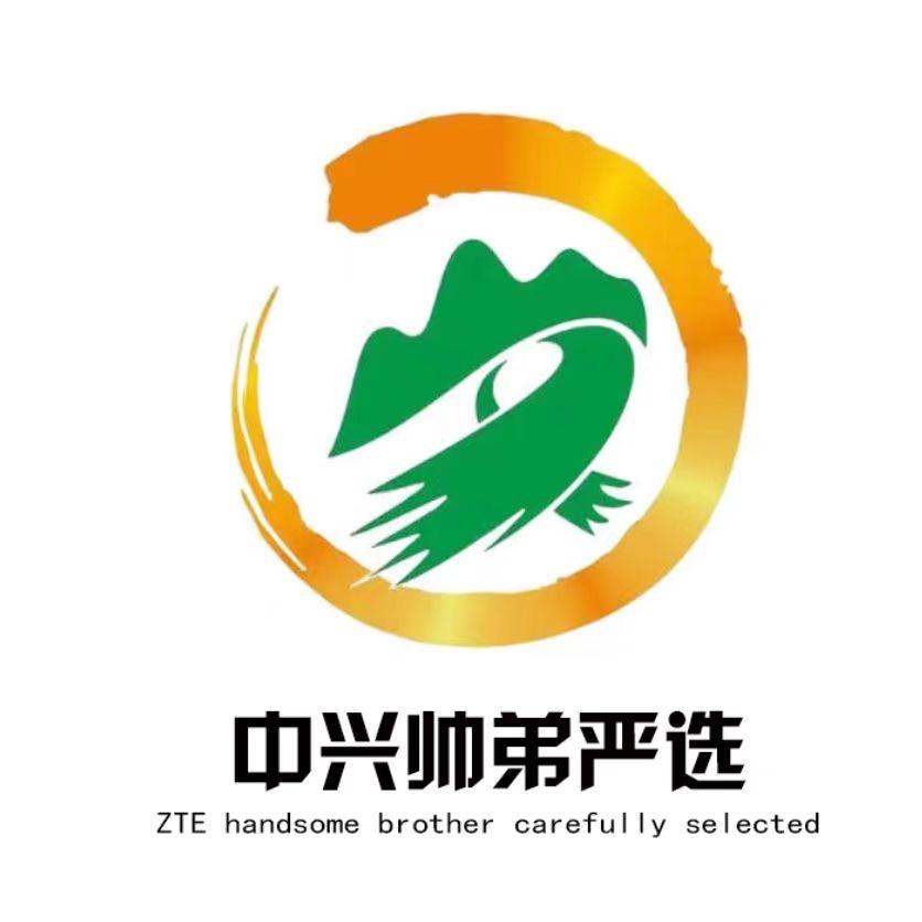 中兴值新汽车（帅弟）