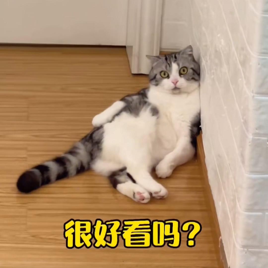 不知情