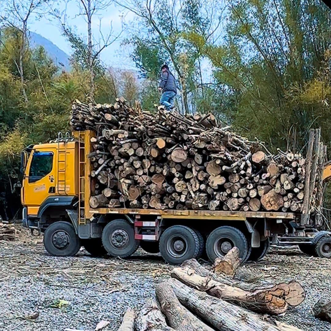 @阳山仔开六驱🚚🔥