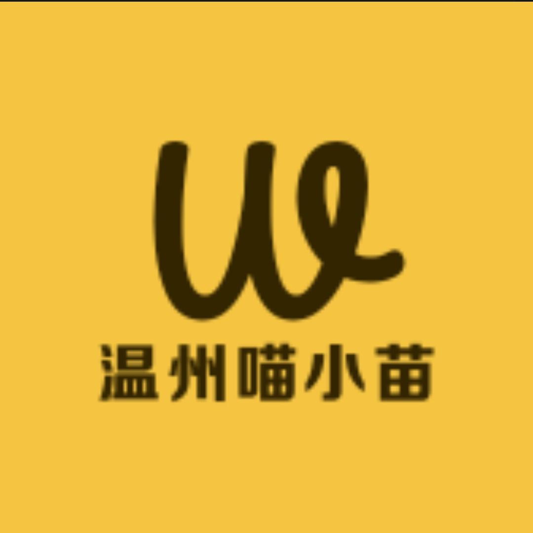 温州喵小苗定制女鞋