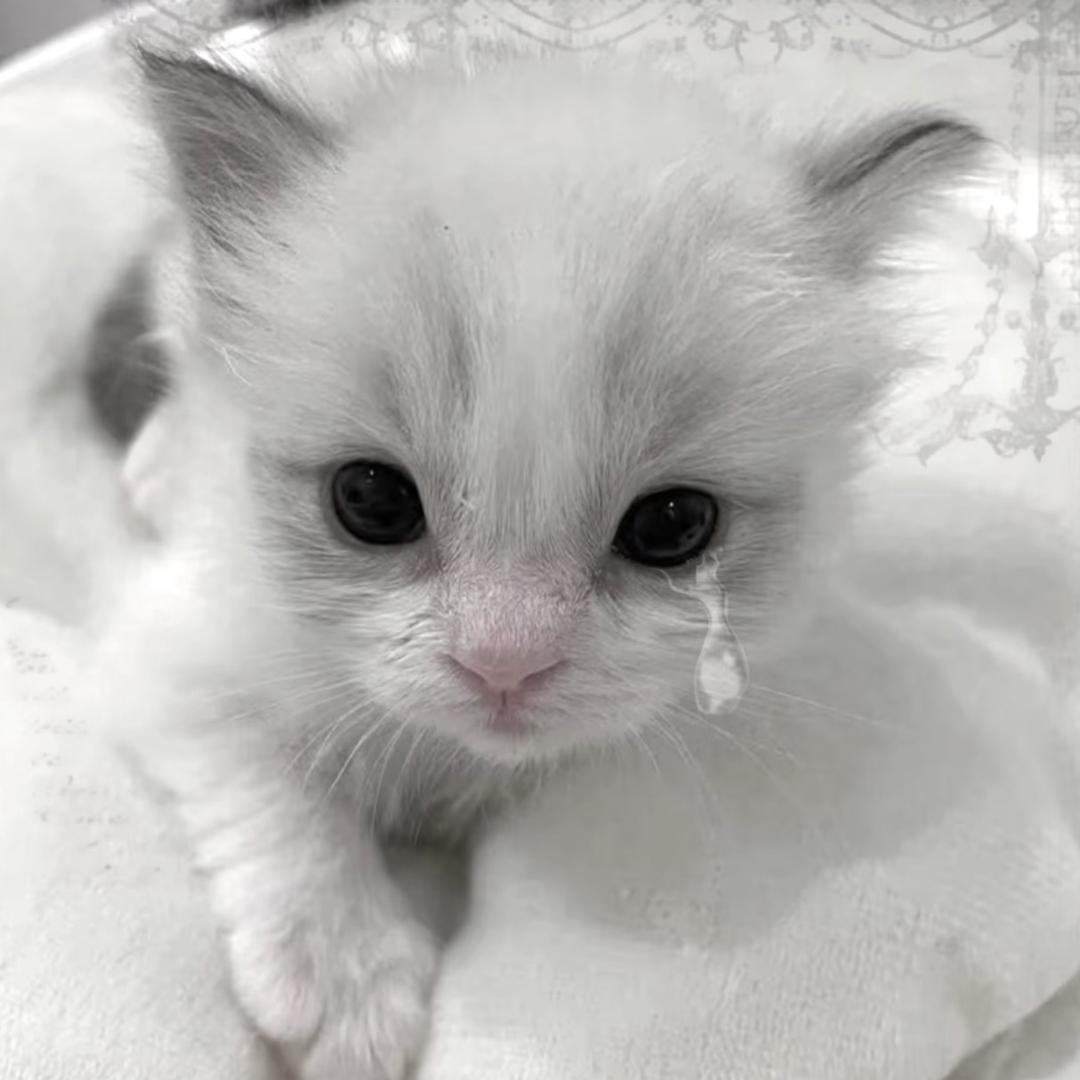 愤怒的农村入189