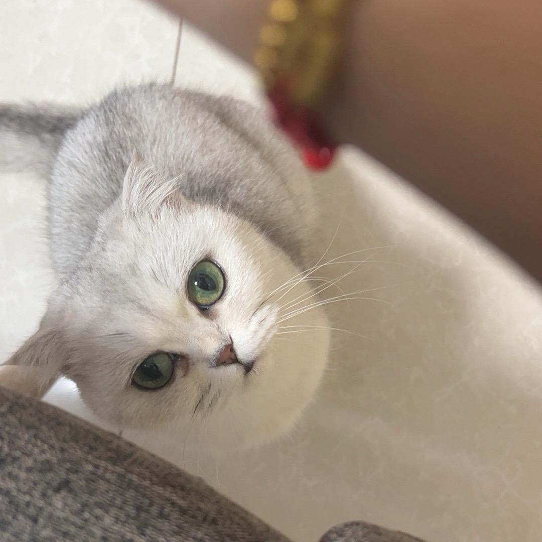 半夏半暖半倾城