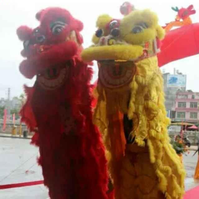 紫金中坝专业醒狮队