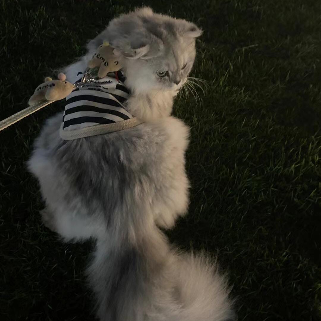 韵琳好物