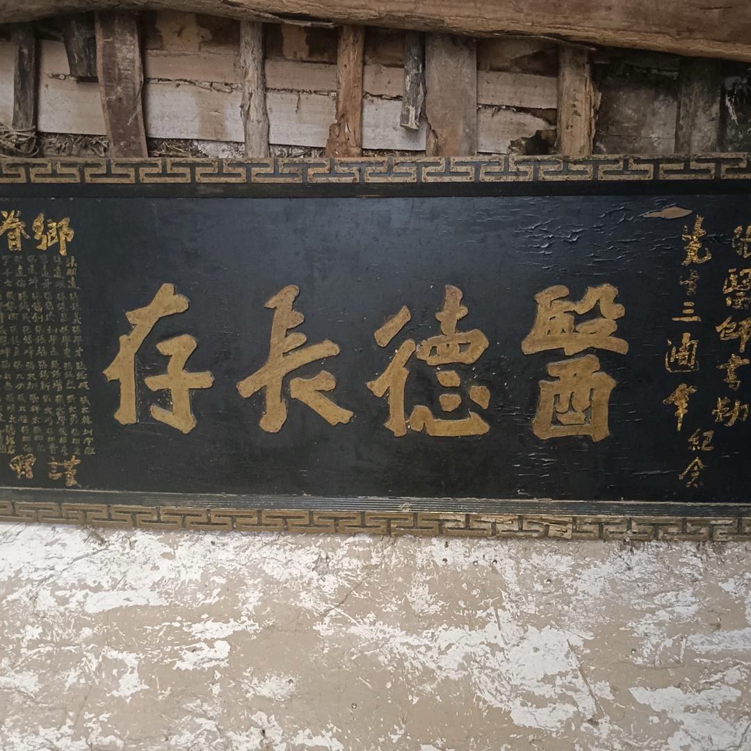 河南高福强直播号