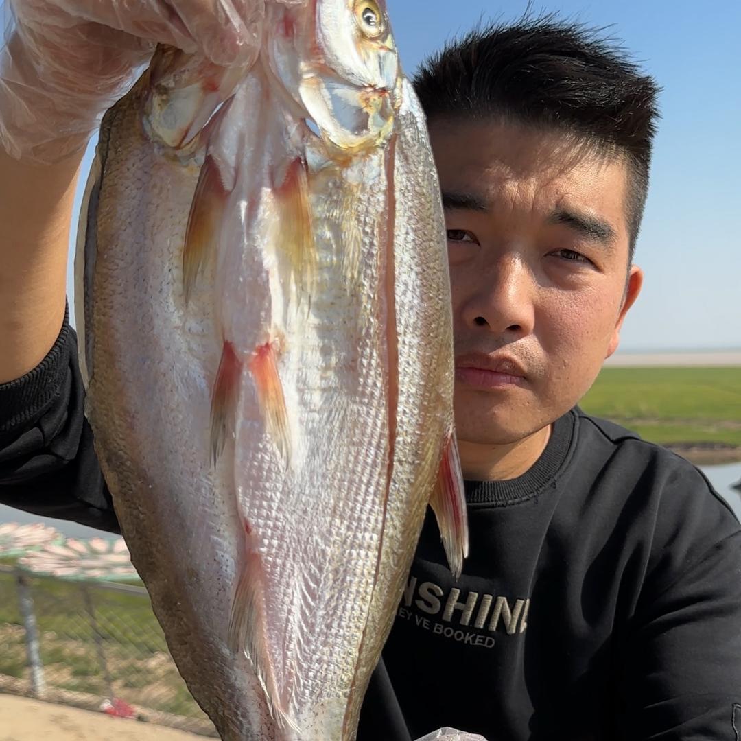 阿健优选农产品（阳干鱼）