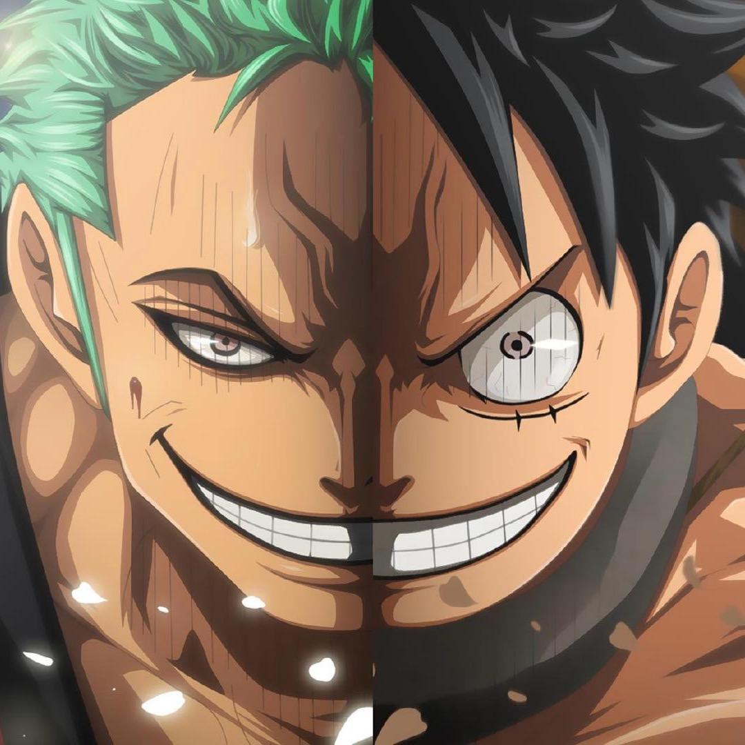 🌈🌈队长君君