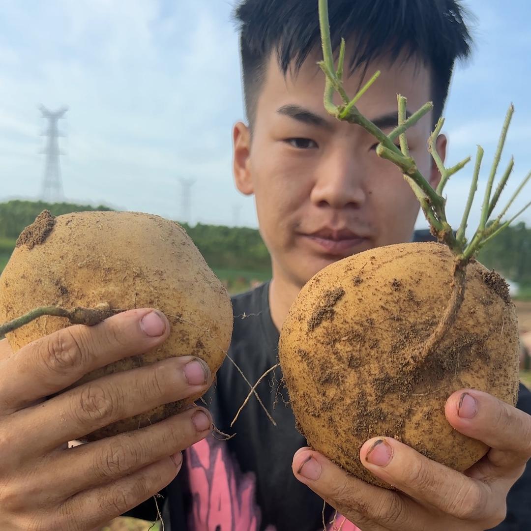啊江兄弟