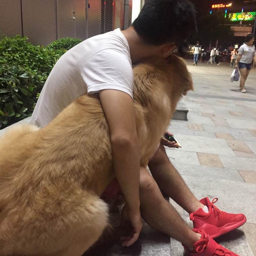 托邦好房