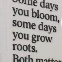 bloom