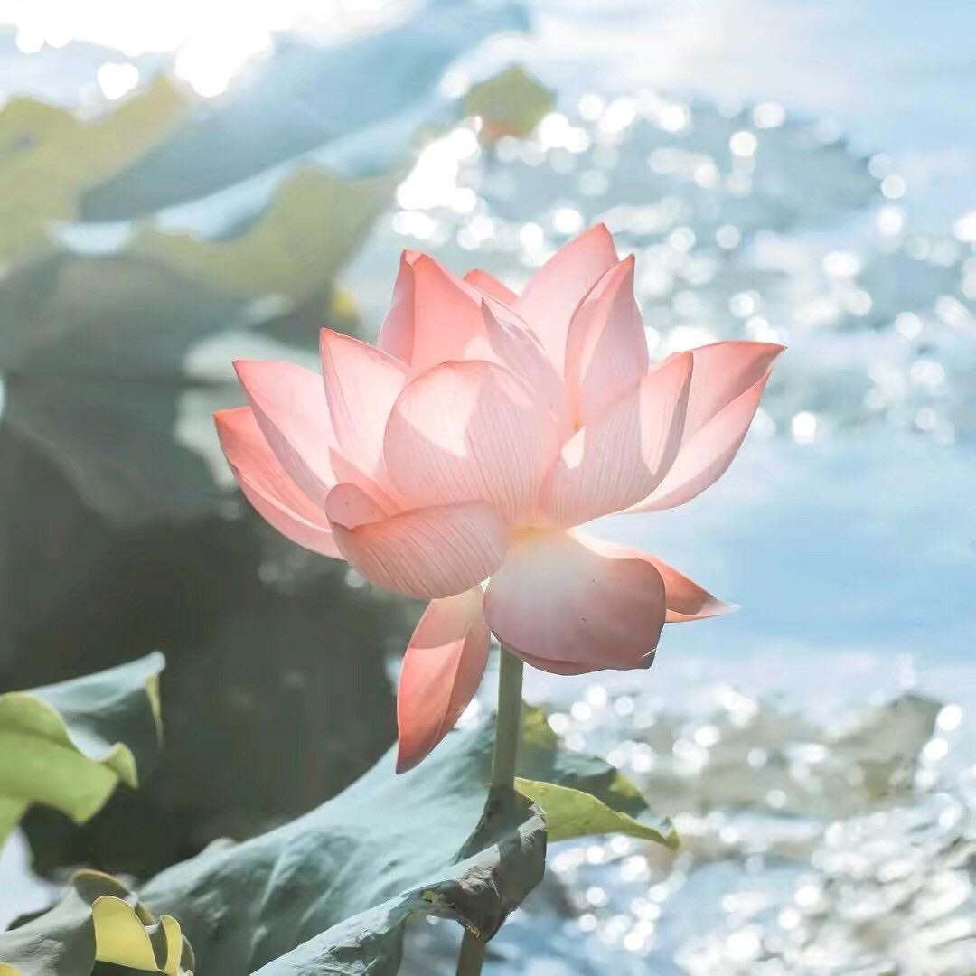 第几页.