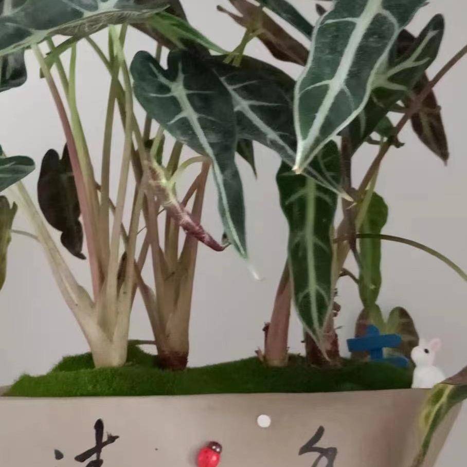一生平安@