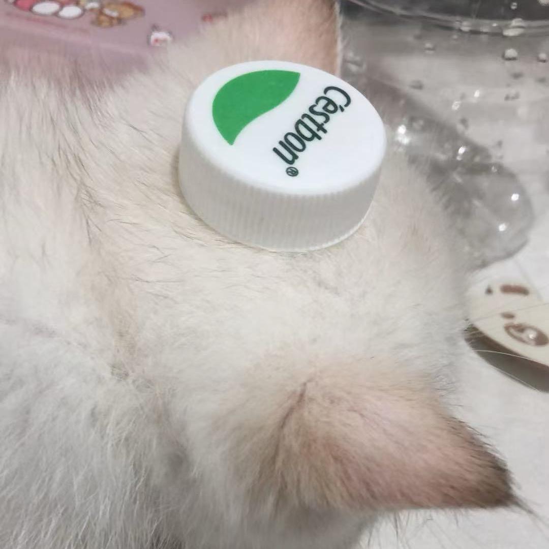咪咪芙