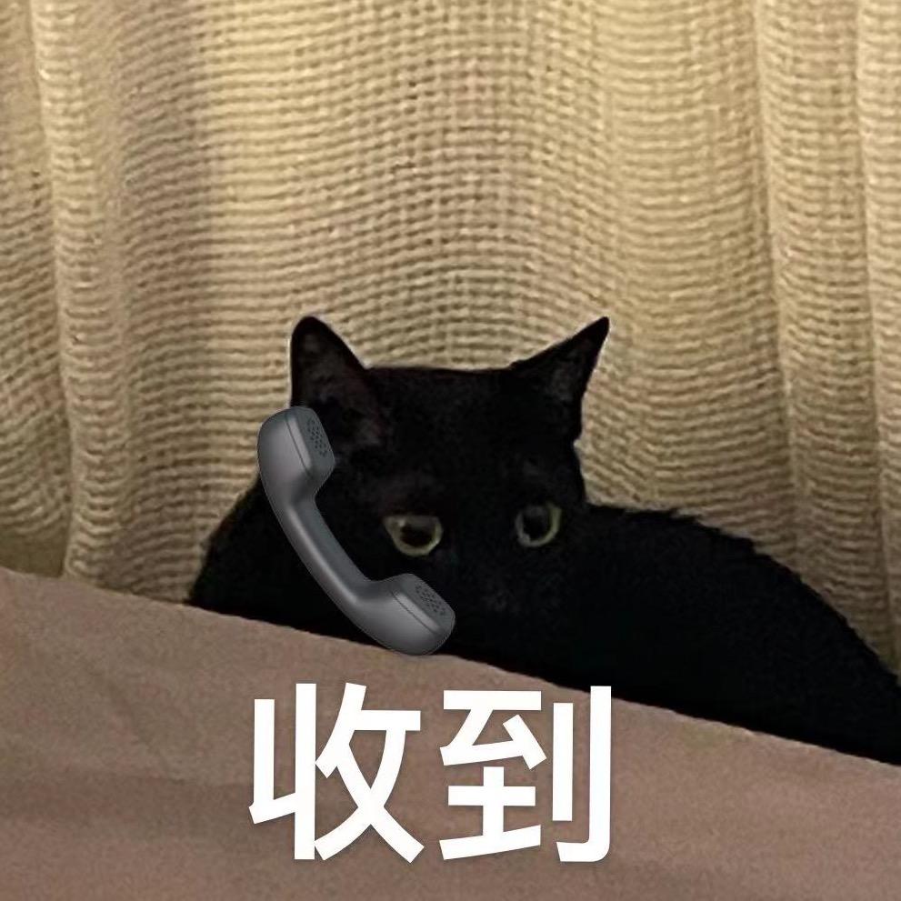 黑猫小精灵