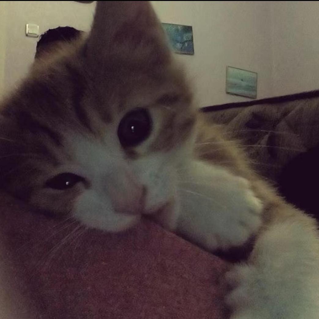 ￴ ￴￴ ￴ ￴ ￴ ￴