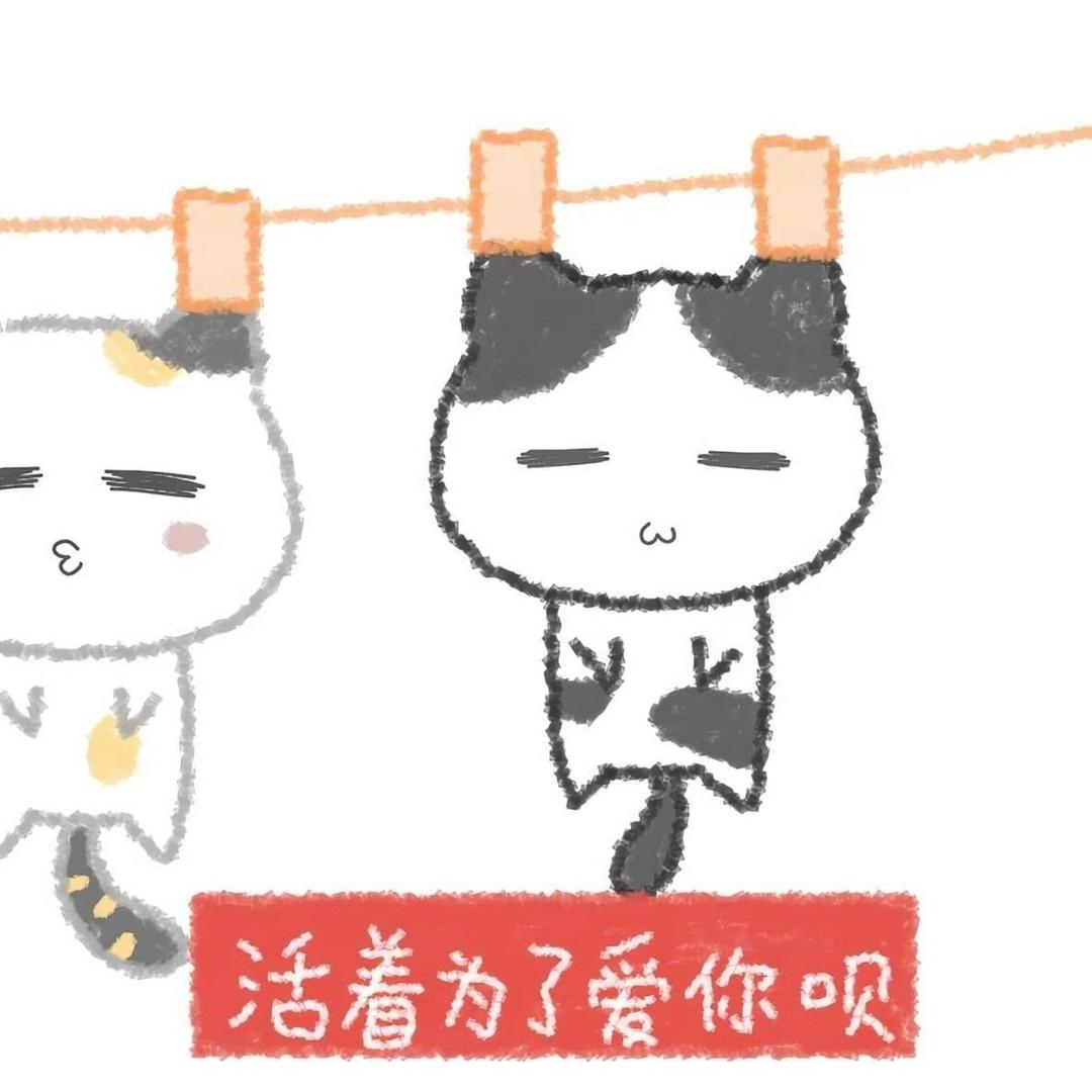 丢丢🍁
