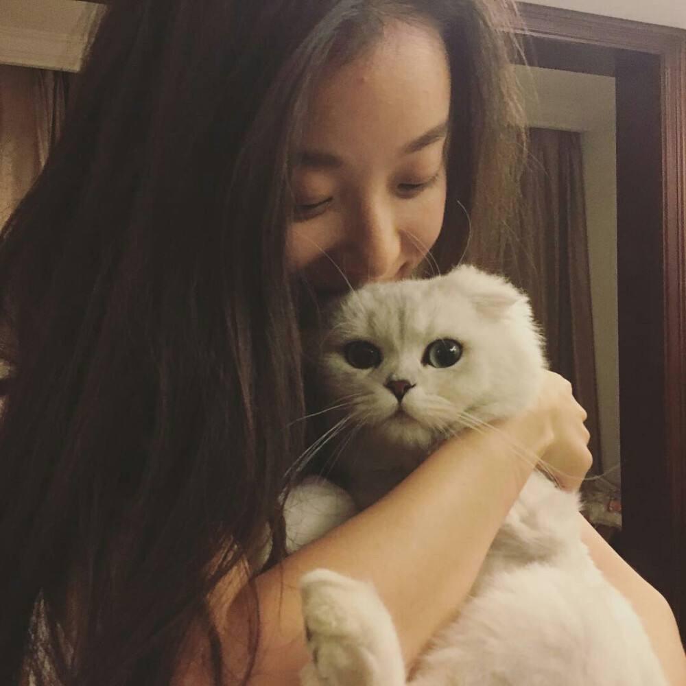 赵财猫
