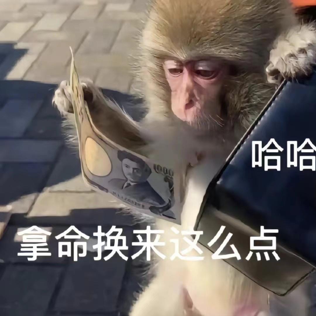 马喽💰💵