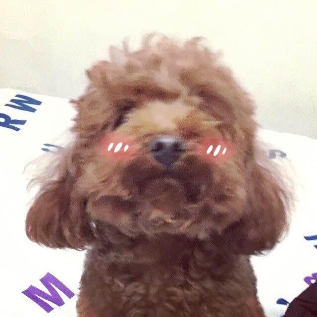 米小多多
