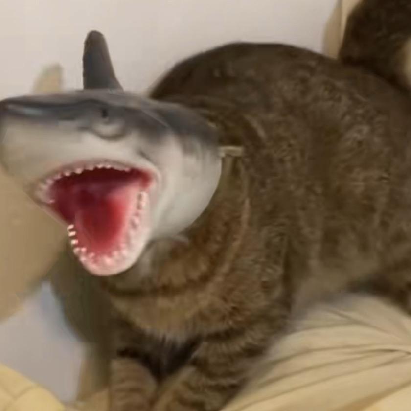 香蕉螺旋棒棒船