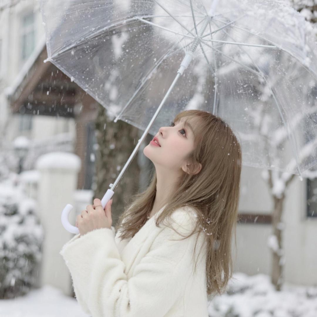 ☪︎ 甜崽小慧家的比熊🐻