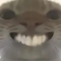 冬天大人受罪组