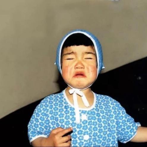 椰椰包会画画（接定制）