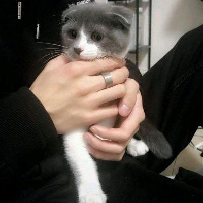 春风一剑，桃花开