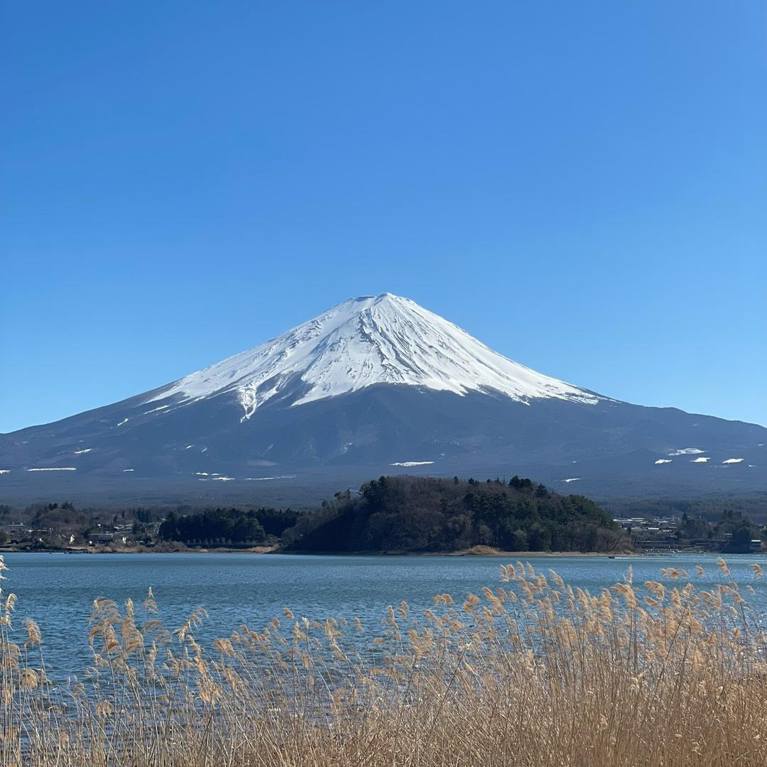 朵朵在🇯🇵留学
