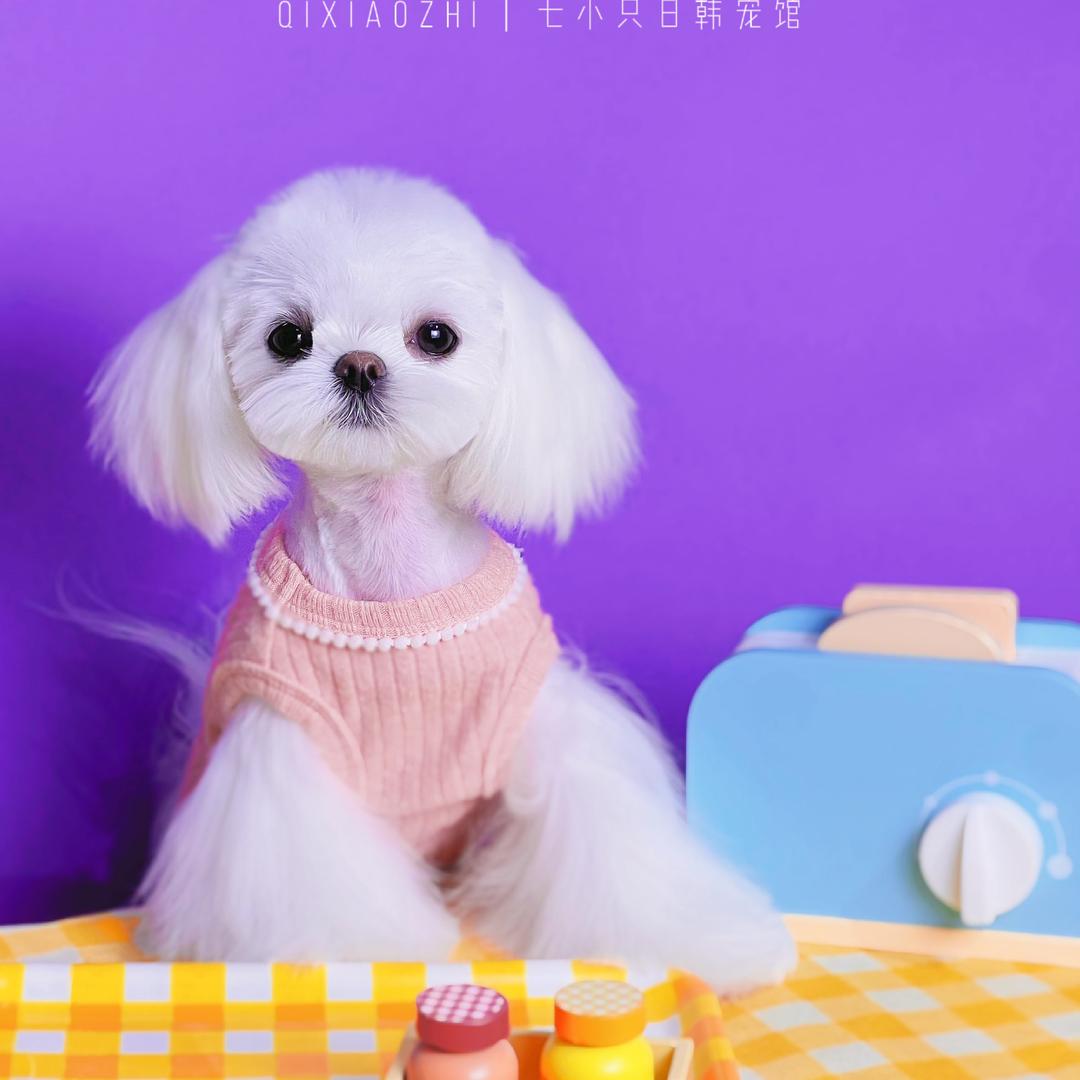 小怡儿
