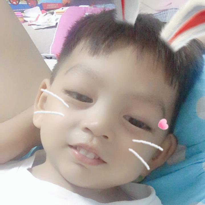 呆呆
