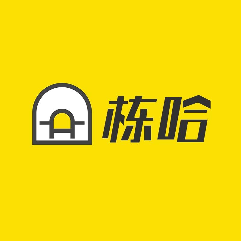 栋哈简奢美学