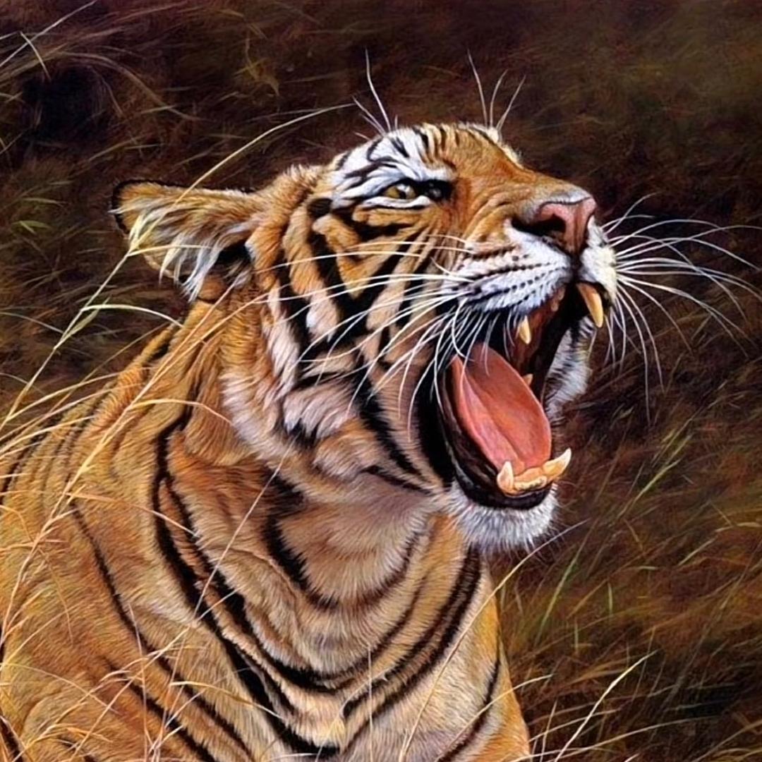 ＂逆流而上的鱼＂