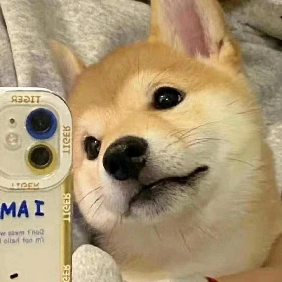 枟逸