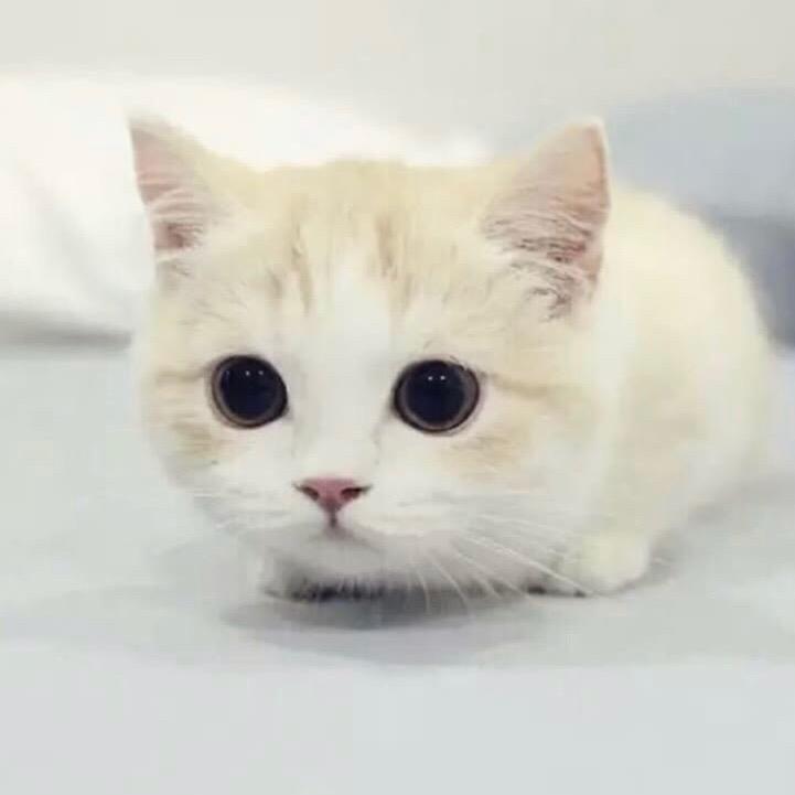 爱都百货
