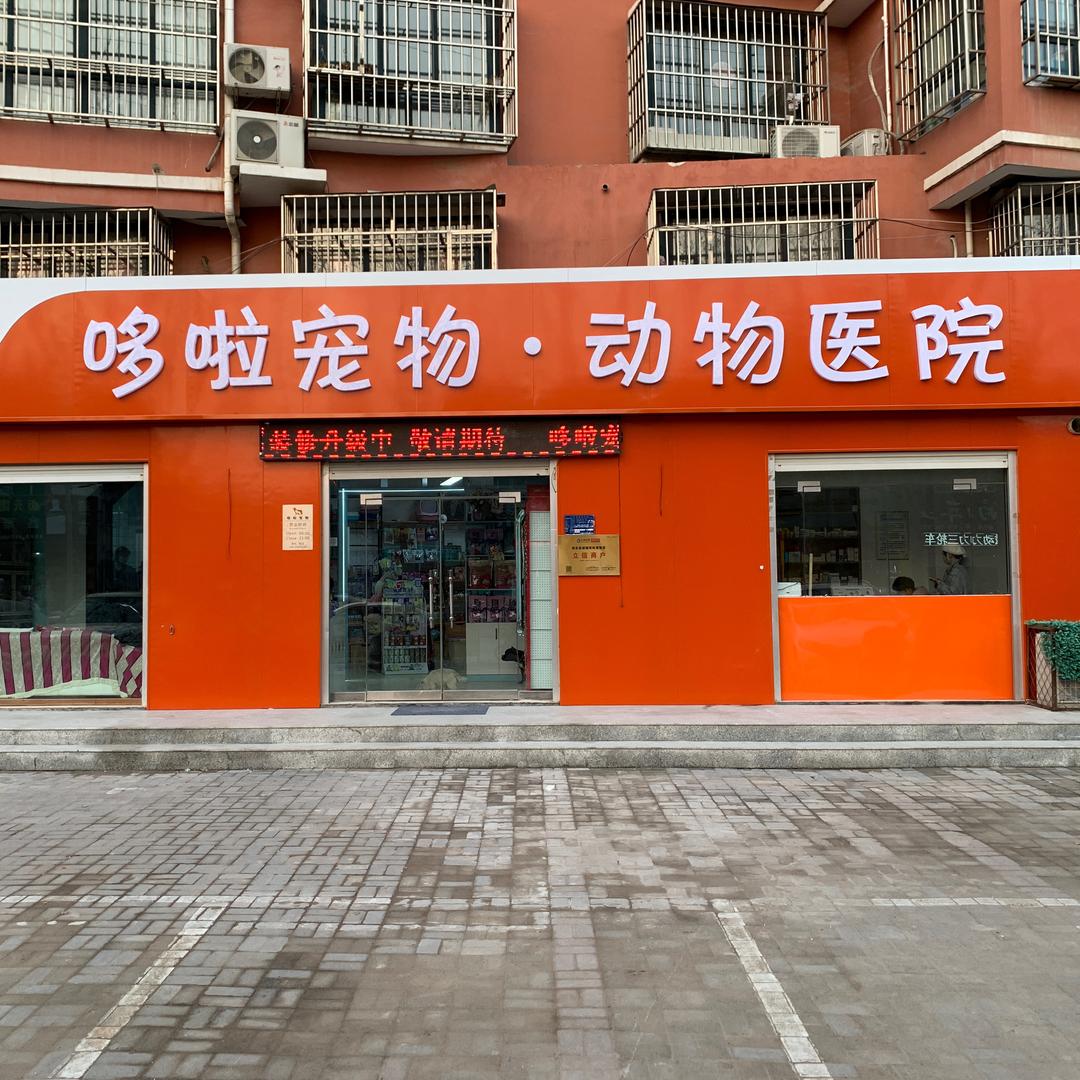 成安县城镇哆啦宠物店