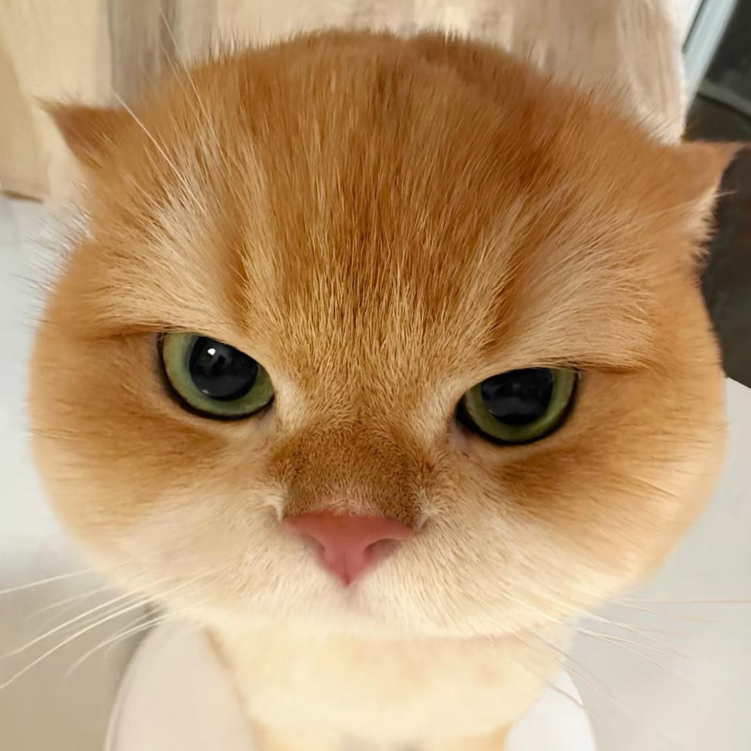 Whaoe