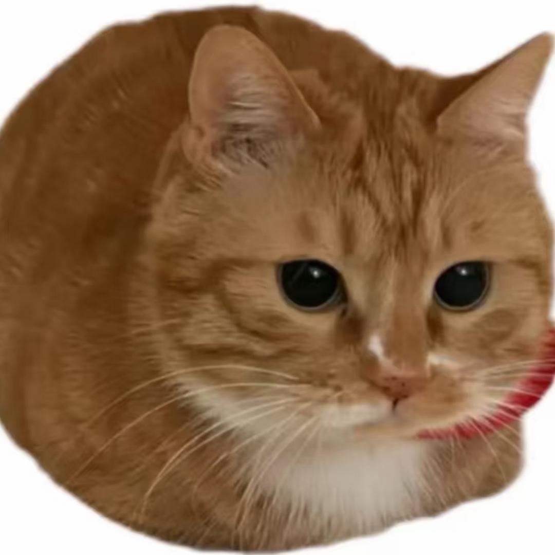 威尼斯落跑咸鱼