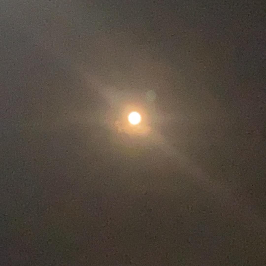 是小贝啊😉