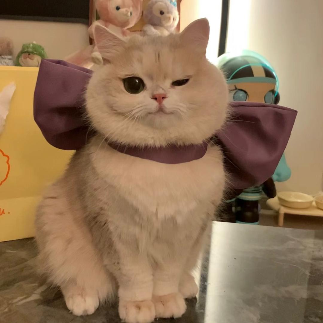 Yubb
